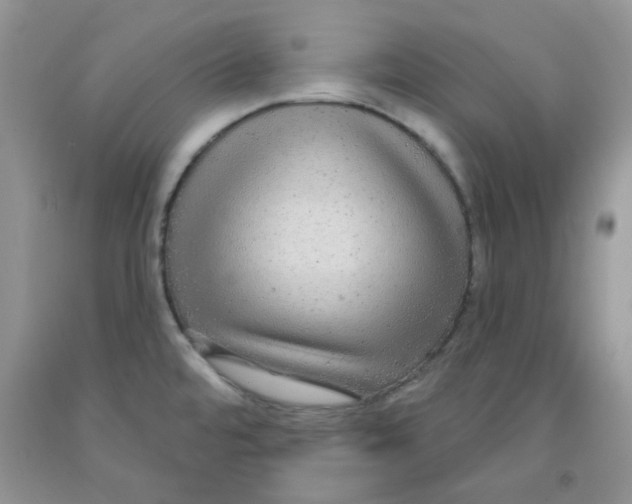 X0000091511480200709141345