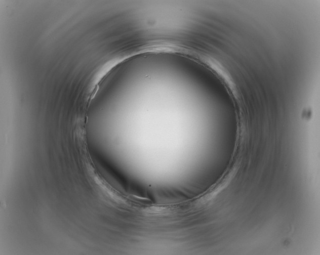 X0000091511481200709141345