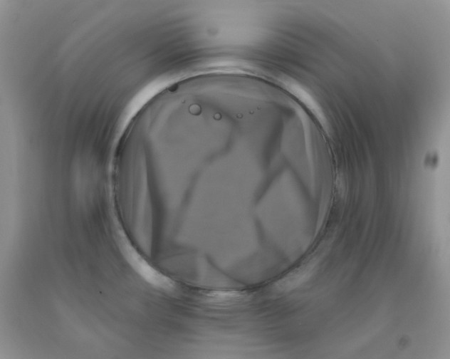 X0000091511482200709141345