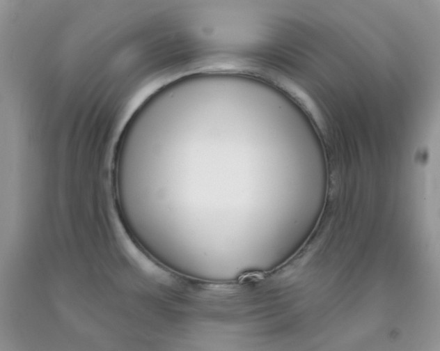 X0000091511483200709141345