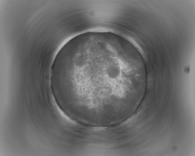 X0000091511484200709141345