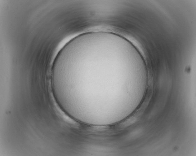 X0000091511486200709141345