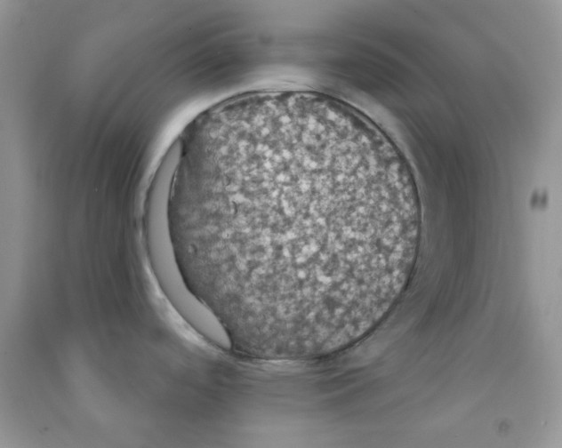 X0000091511488200709141345