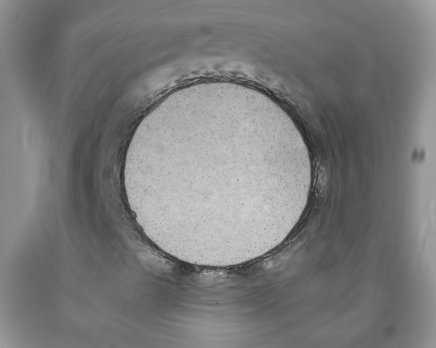 X0000091511489200709141344