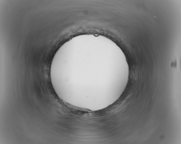 X0000091511490200709141344