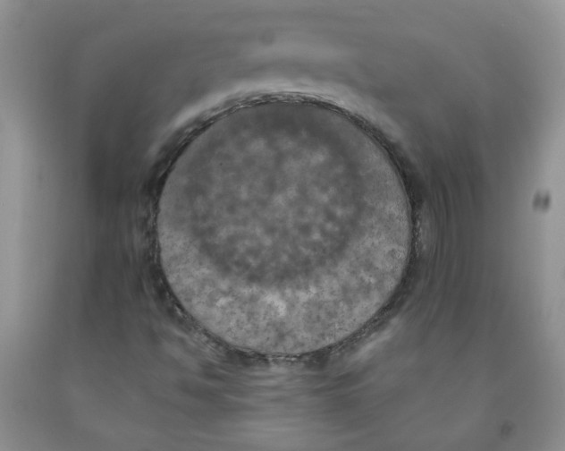 X0000091511494200709141344