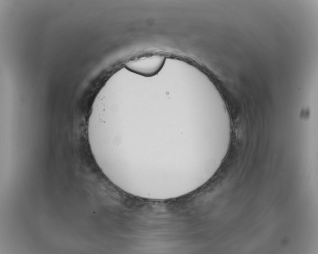 X0000091511495200709141344