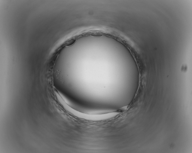 X0000091511496200709141344