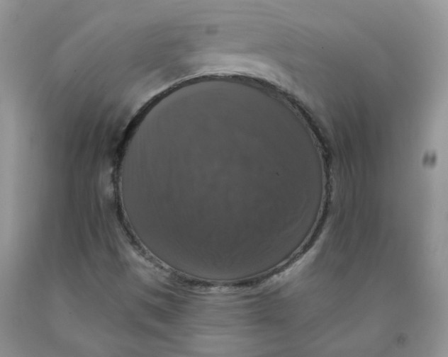 X0000091511497200709141344