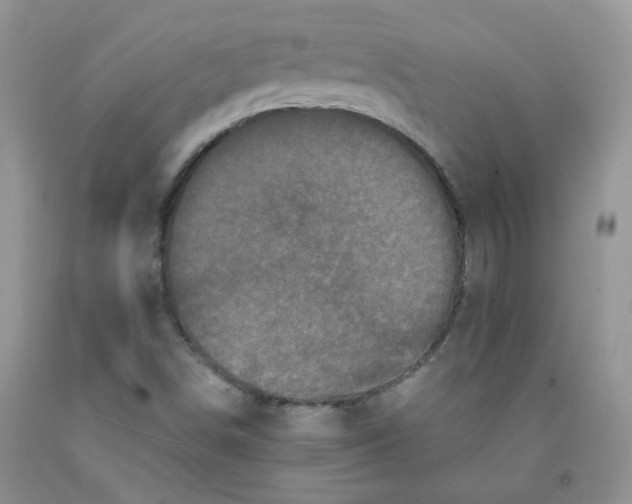 X0000091511498200709141344