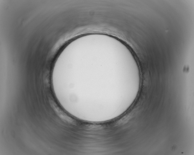 X0000091511499200709141344