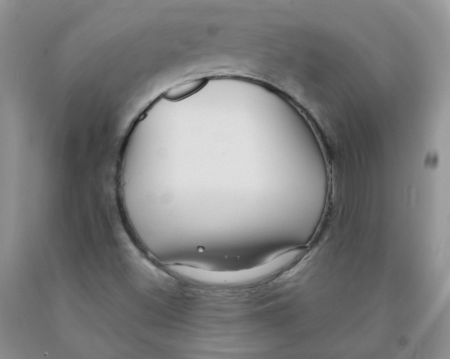 X0000091511500200709141344