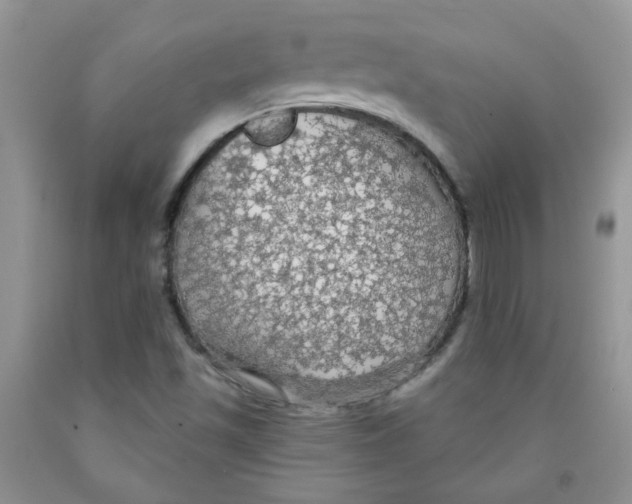 X0000091511501200709141344