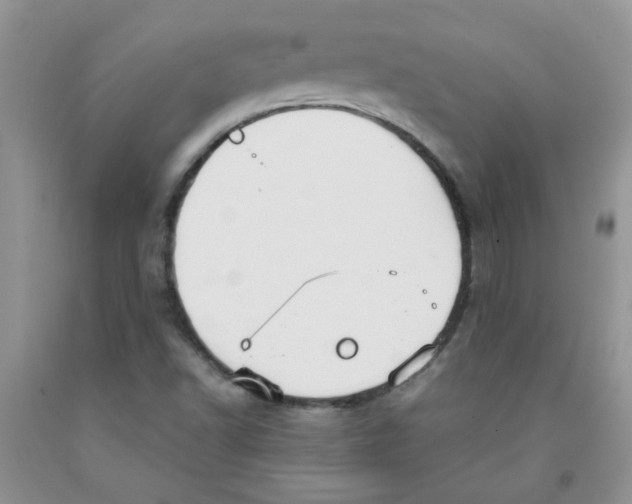 X0000091511502200709141344