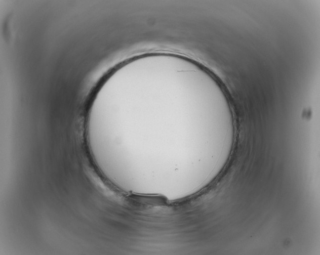 X0000091511503200709141344