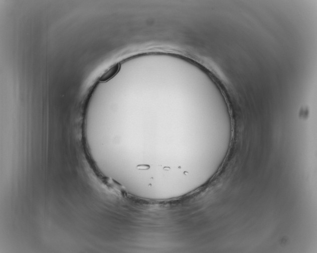 X0000091511504200709141344