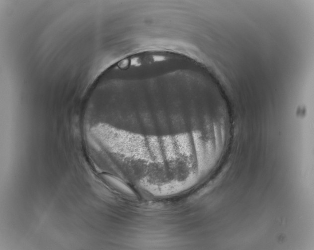 X0000091511505200709141344