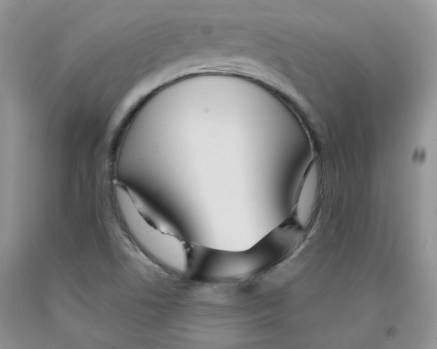 X0000091511506200709141344