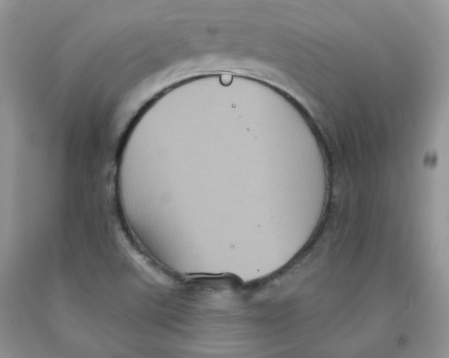 X0000091511507200709141344