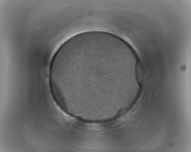 X0000091511508200709141344