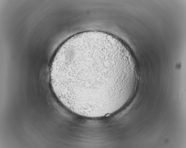 X0000091511509200709141344