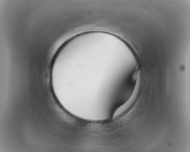 X0000091511511200709141344