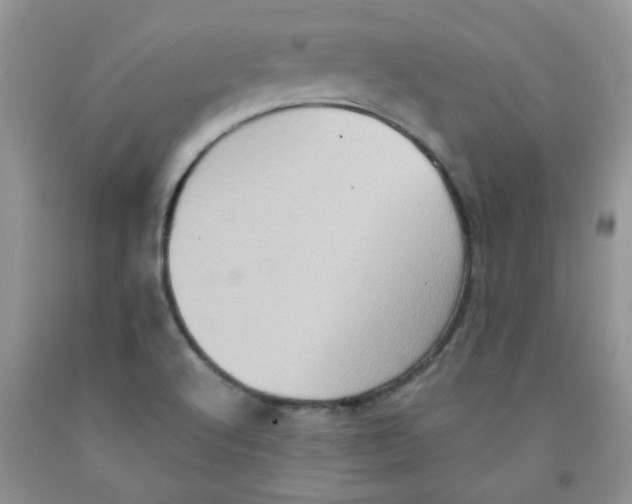 X0000091511512200709141344