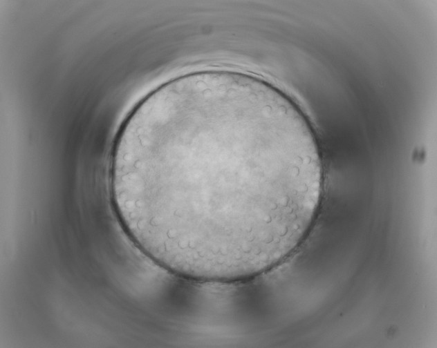 X0000091511514200709141344