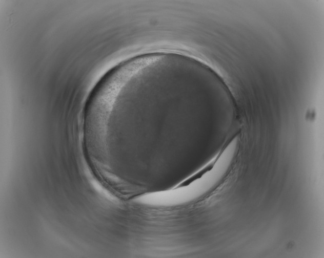 X0000091511515200709141344