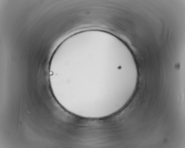 X0000091511516200709141344