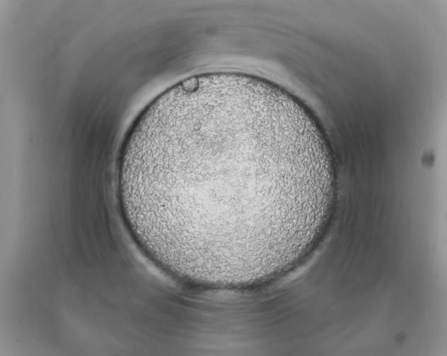 X0000091511517200709141344