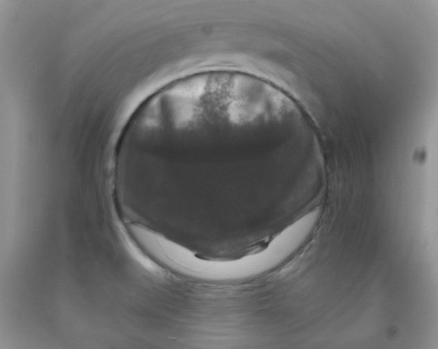 X0000091511519200709141344