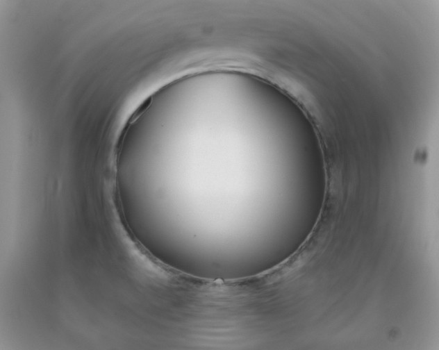 X0000091511520200709141344