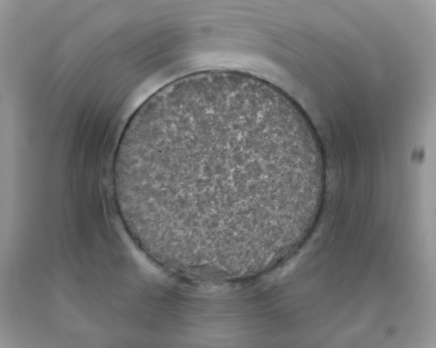 X0000091511521200709141344