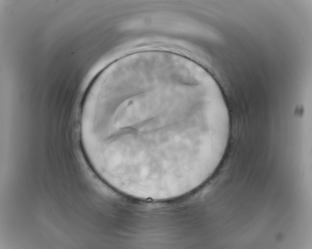 X0000091511522200709141344