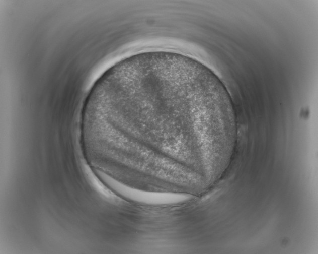 X0000091511523200709141344