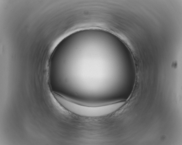 X0000091511524200709141344