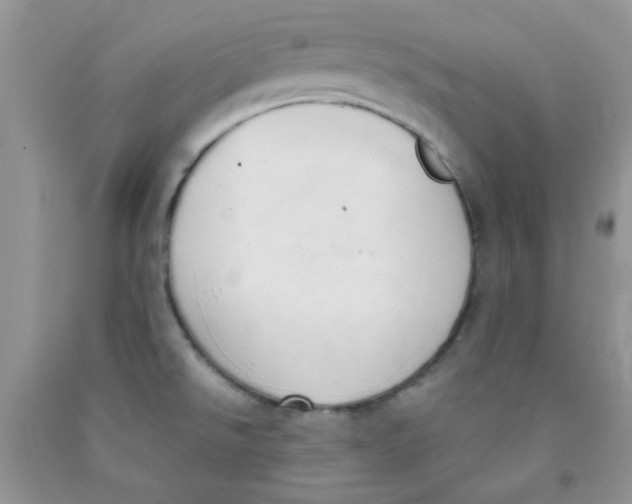 X0000091511526200709141344