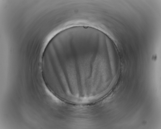 X0000091511527200709141344