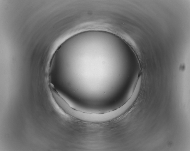 X0000091511528200709141344