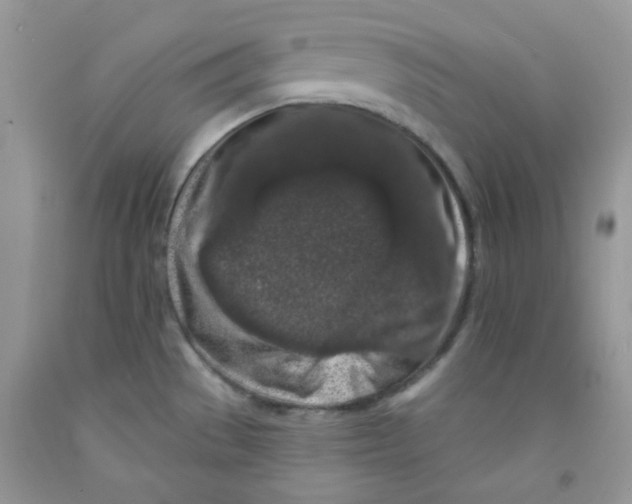 X0000091511529200709141344