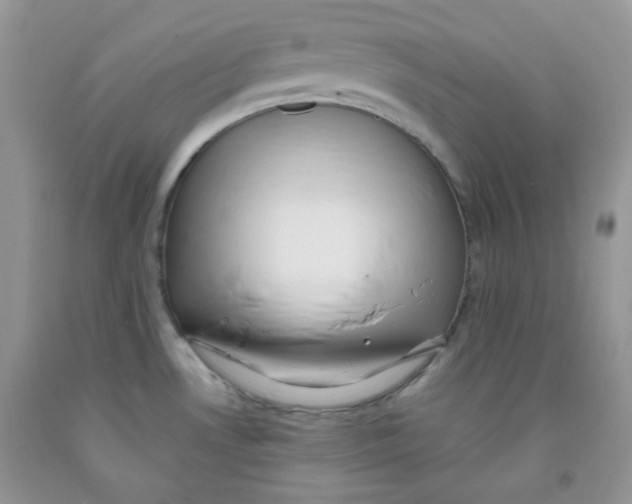 X0000091511530200709141344