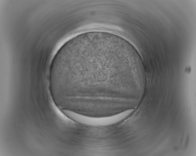 X0000091511531200709141344