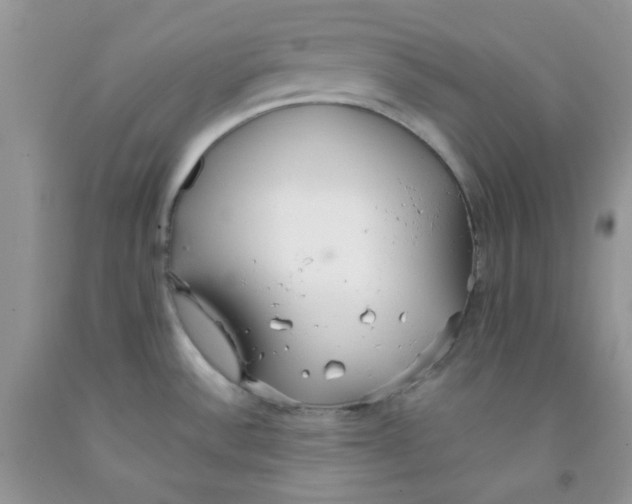 X0000091511532200709141344