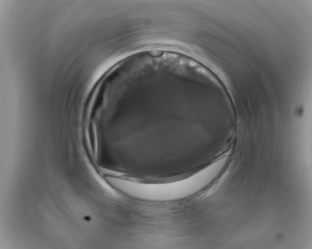 X0000091511533200709141345