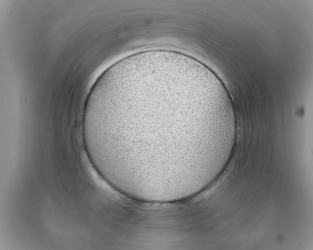 X0000091511534200709141345