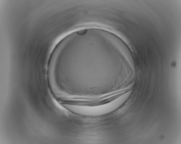 X0000091511535200709141345