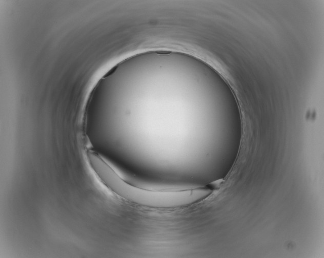 X0000091511536200709141345