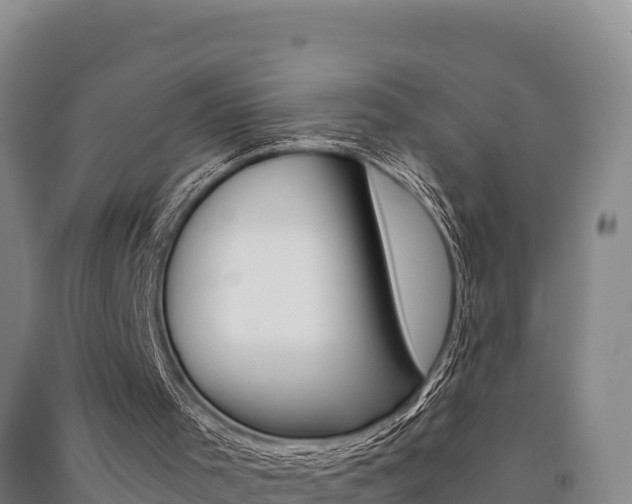 X0000091520001200708171019