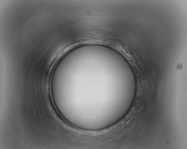 X0000091520002200708171019